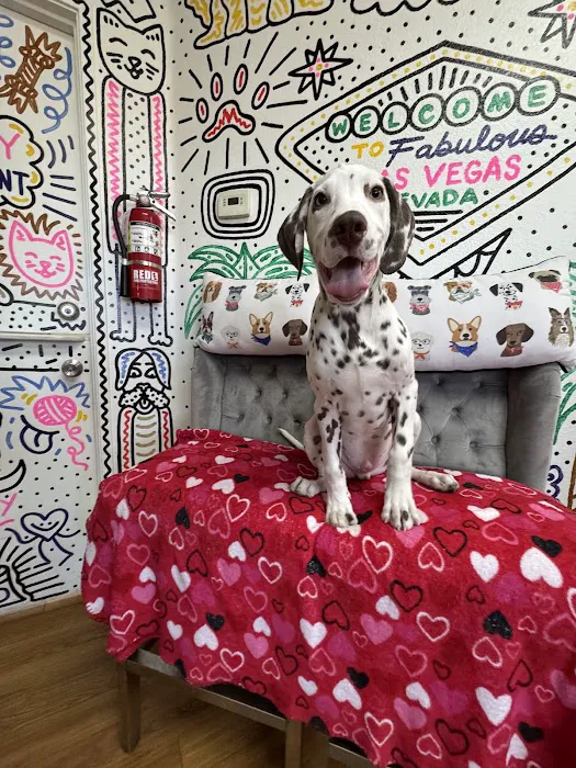 Paws and Whiskers Pet Shop Picture 10