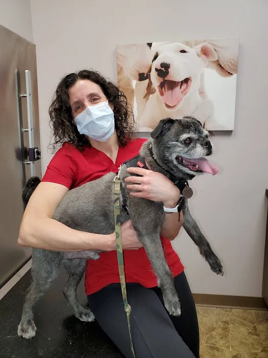 Healing Paws Veterinary Care Picture 8
