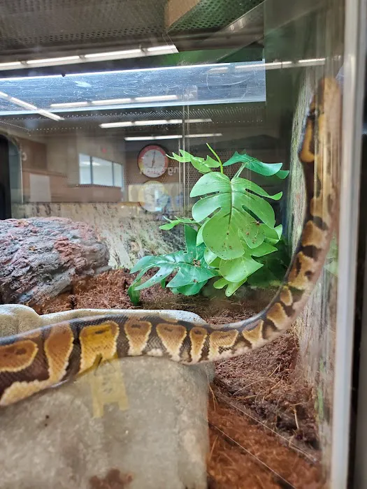 Petco Picture 5
