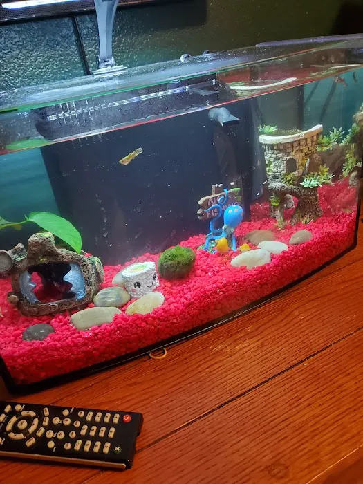 Petco Picture 2