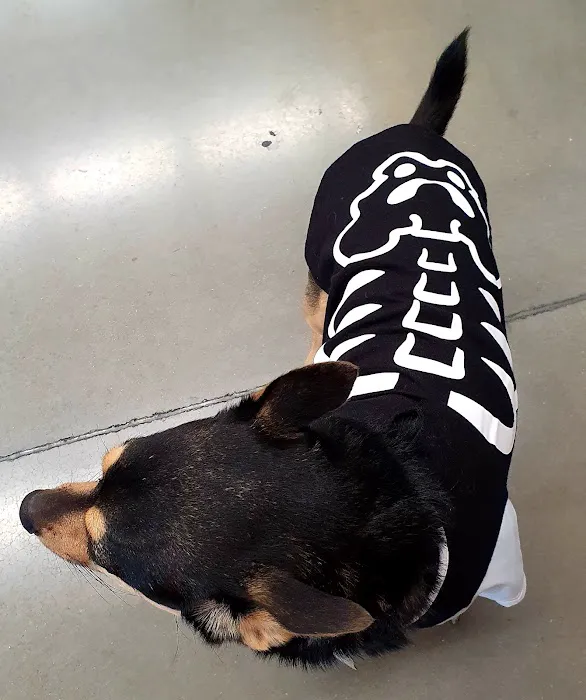 Petco Picture 9