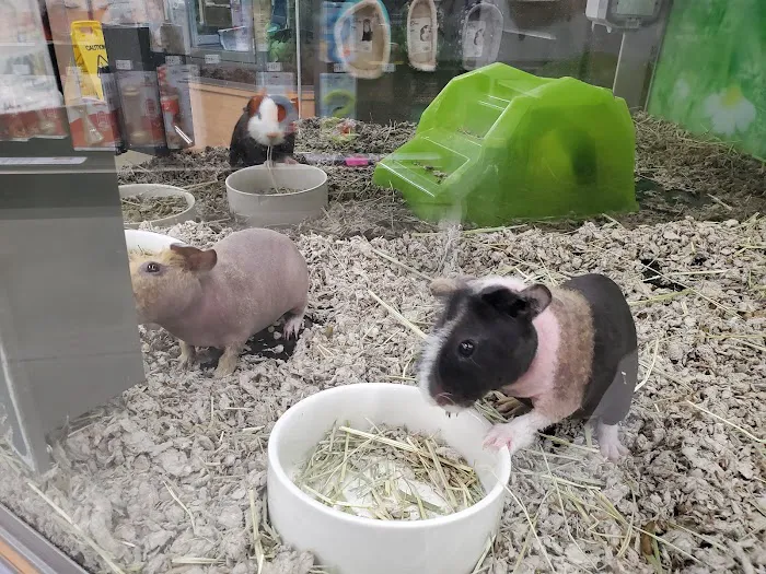Petco Picture 8