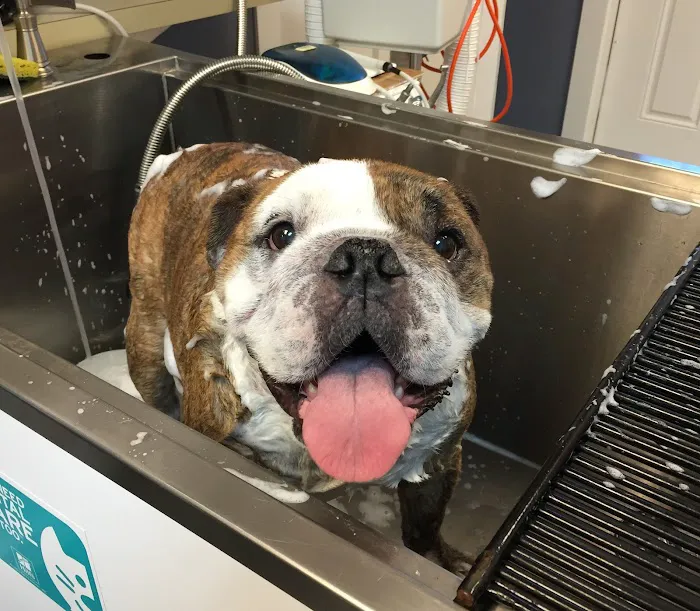 Allendale Veterinary Hospital Picture 5