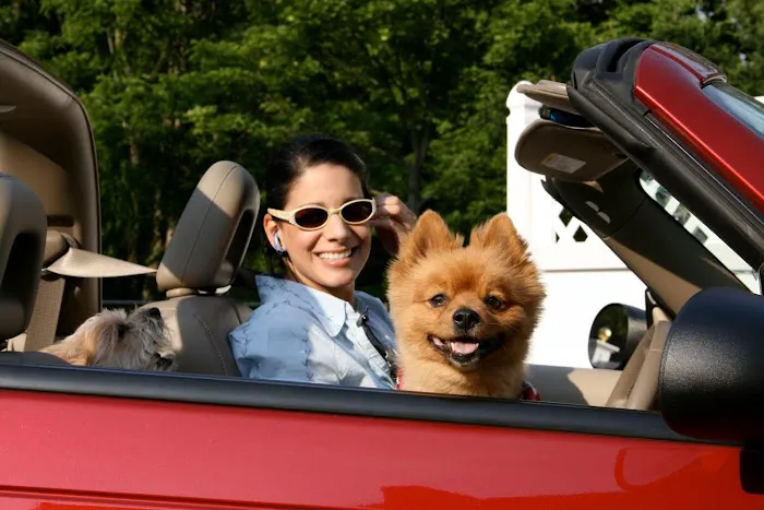 Allendale Veterinary Hospital Picture 7