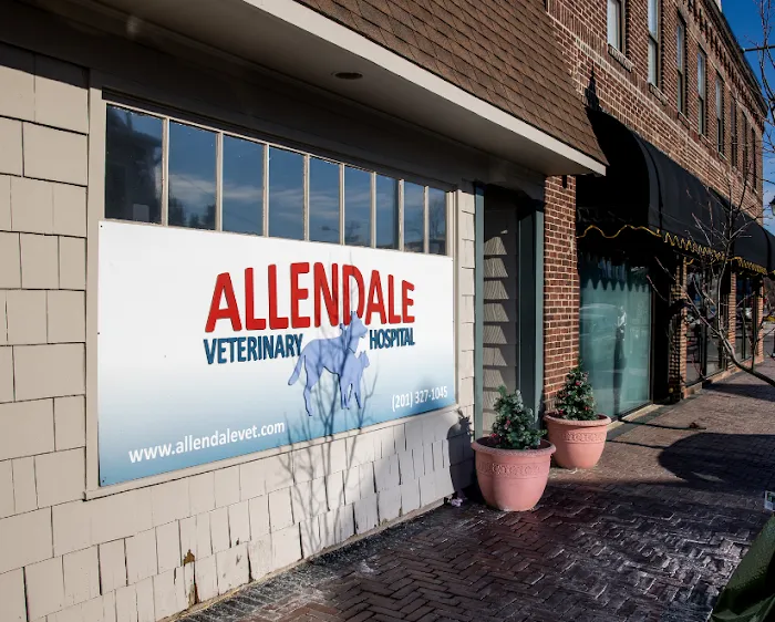 Allendale Veterinary Hospital Picture 8