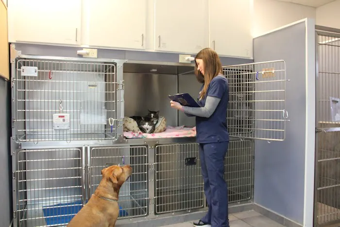 Allendale Veterinary Hospital Picture 9