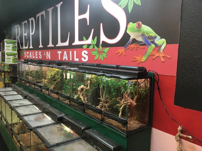 Scales 'N Tails Las Vegas #2 Picture 1