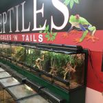 Scales 'N Tails Las Vegas #2
