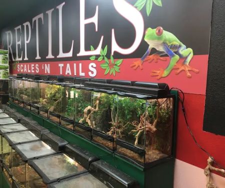 Scales 'N Tails Las Vegas #2