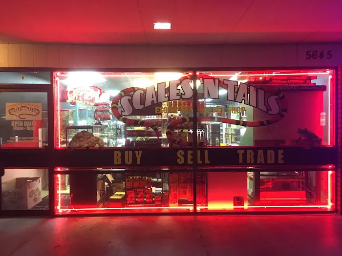 Scales 'N Tails Las Vegas #2 Picture 8
