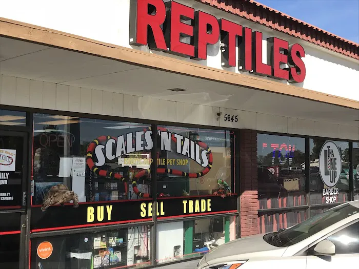 Scales 'N Tails Las Vegas #2 Picture 9