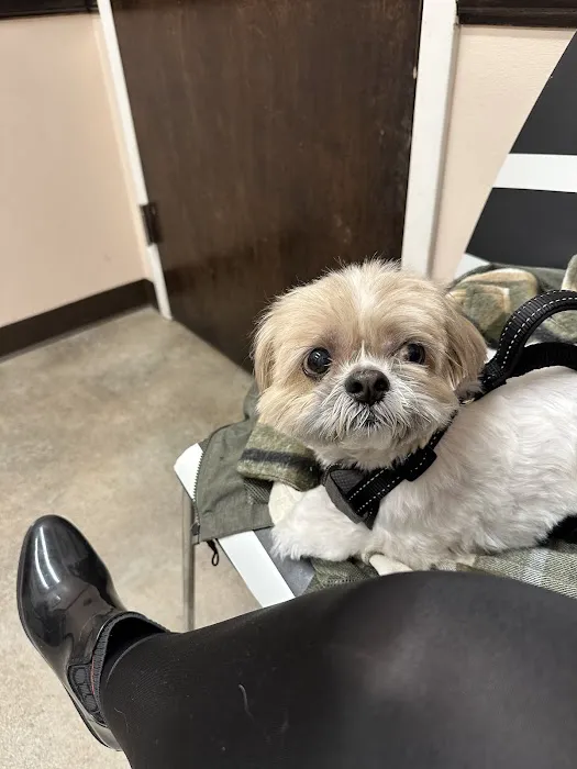 Bergen County Veterinary Center Picture 1