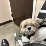 Bergen County Veterinary Center