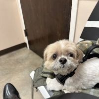 Bergen County Veterinary Center ico