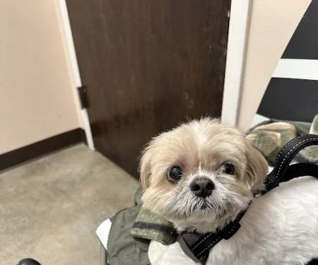 Bergen County Veterinary Center