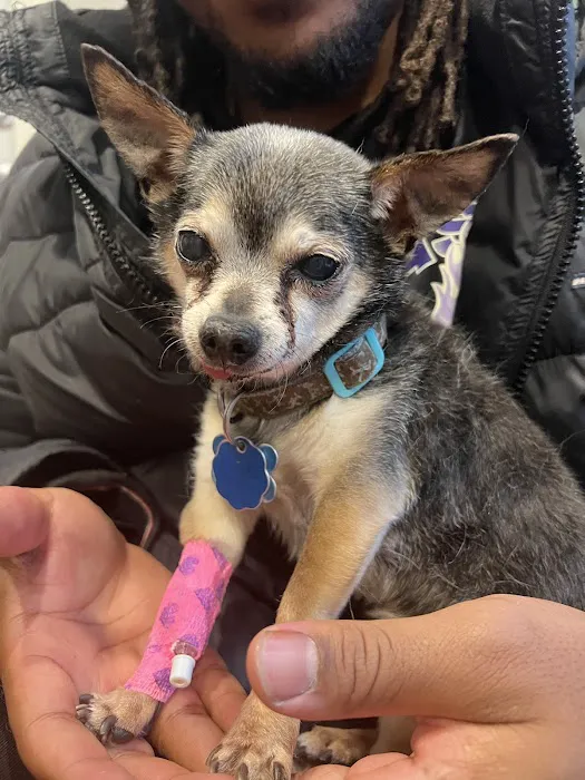Bergen County Veterinary Center Picture 8