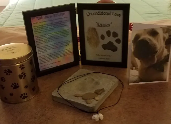 Precious Pets Animal Service Picture 3