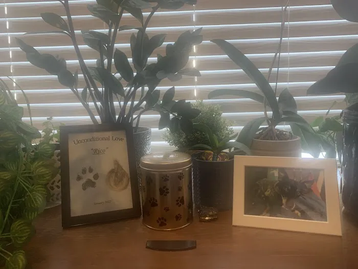 Precious Pets Animal Service Picture 1