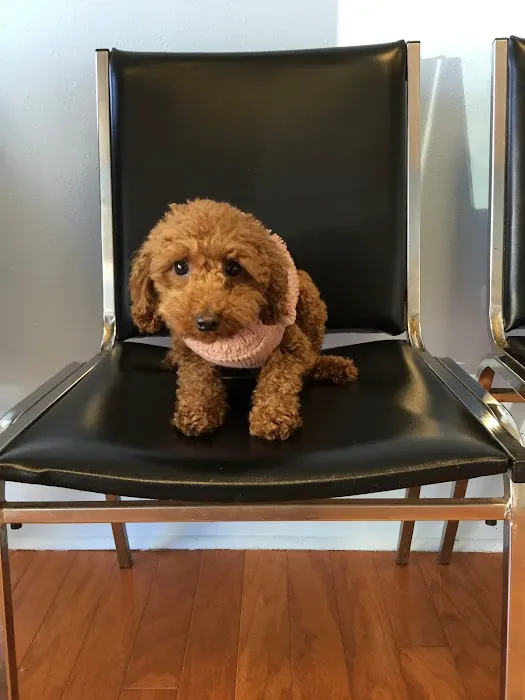 Ramsey Animal Clinic Picture 3