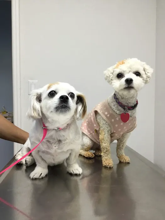 Ramsey Animal Clinic Picture 2
