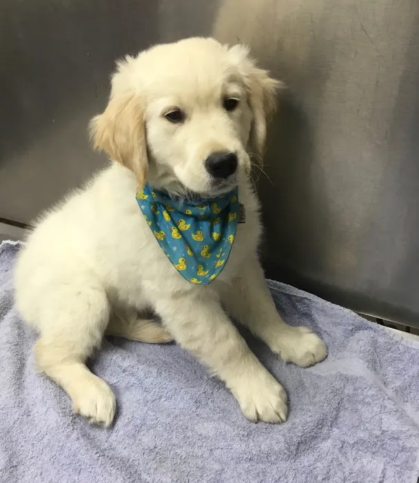 Ramsey Animal Clinic Picture 9