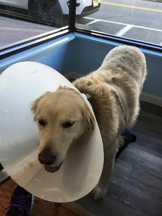 Ramsey Animal Clinic Picture 10