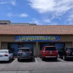 Las Vegas Exotic Fish