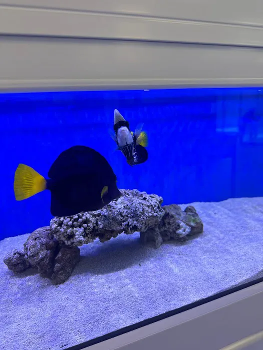 Sin City Aquatics & Maintenance Picture 6