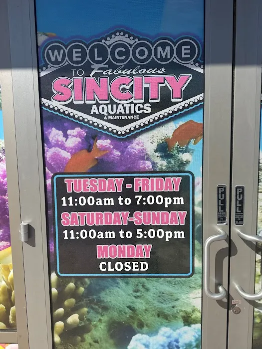 Sin City Aquatics & Maintenance Picture 4