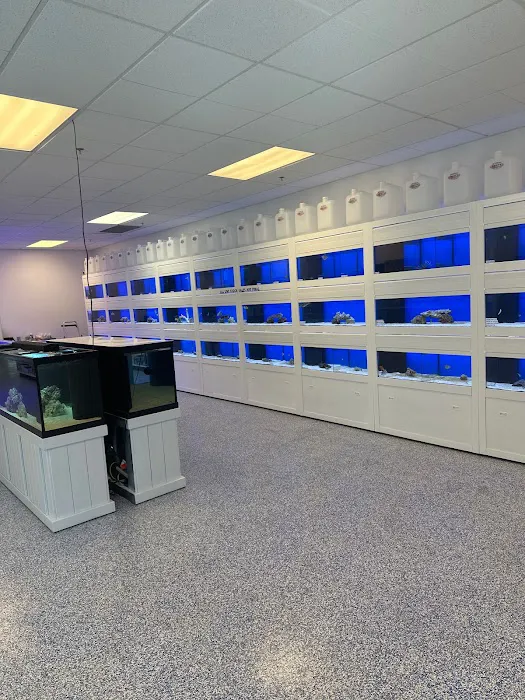 Sin City Aquatics & Maintenance Picture 9