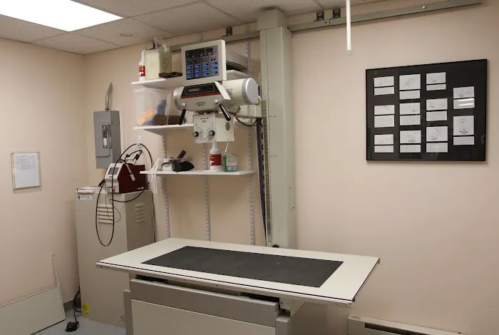Franklin Turnpike Veterinary Hospital Picture 5