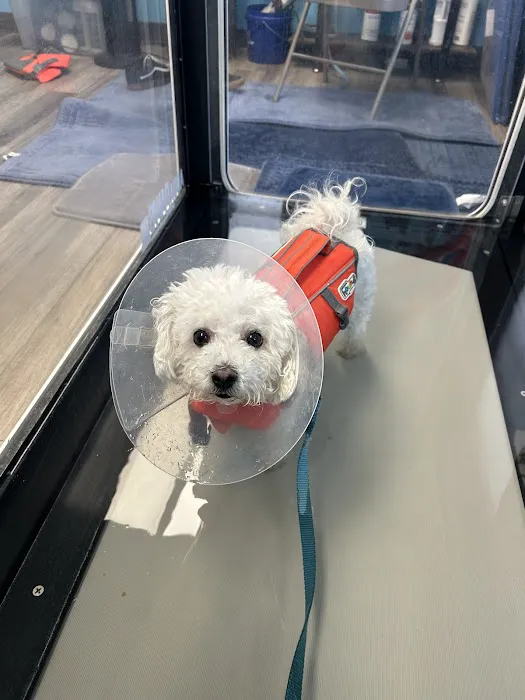 Franklin Turnpike Veterinary Hospital Picture 7