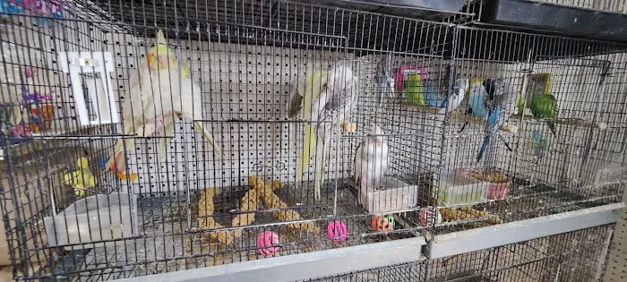The Bird Spot Picture 1