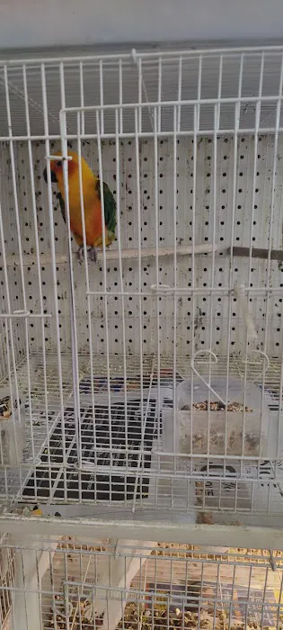 The Bird Spot Picture 3