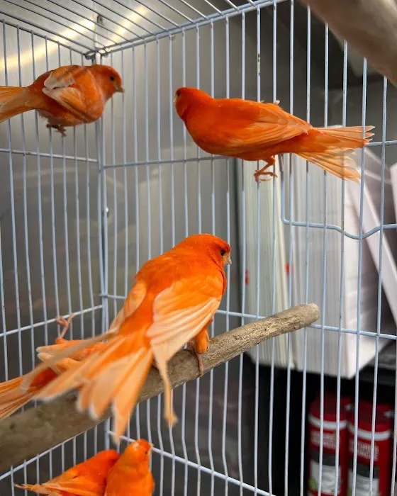The Bird Spot Picture 2