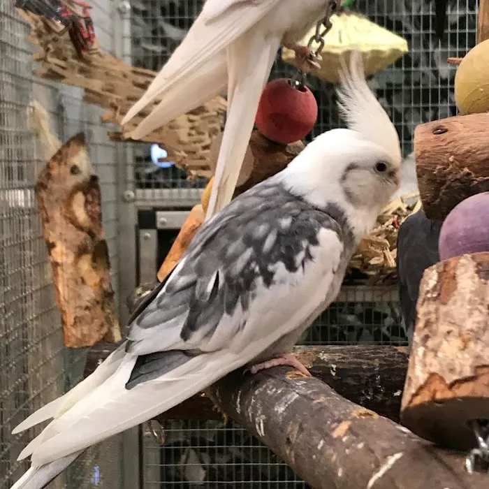 The Bird Spot Picture 9