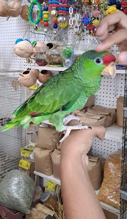 The Bird Spot Picture 8