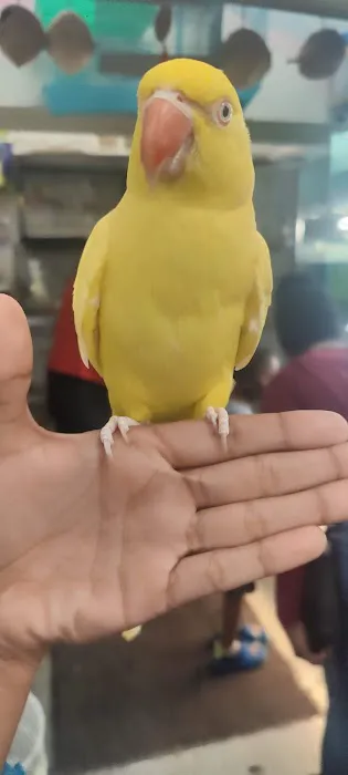The Bird Spot Picture 7