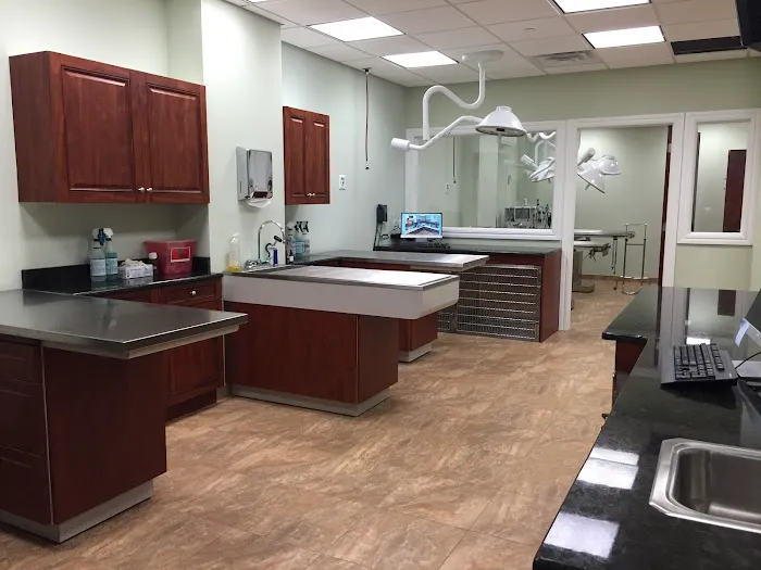 Animal Hospital of Hasbrouck Heights Picture 2