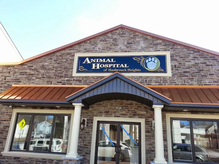 Animal Hospital of Hasbrouck Heights Picture 3