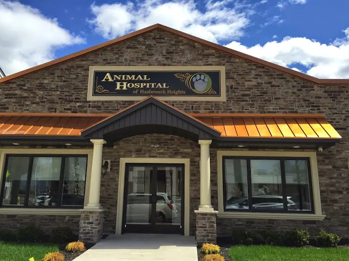 Animal Hospital of Hasbrouck Heights Picture 1