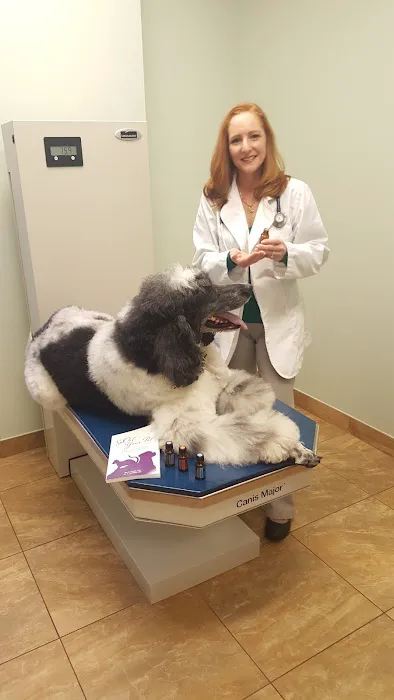Animal Hospital of Hasbrouck Heights Picture 4
