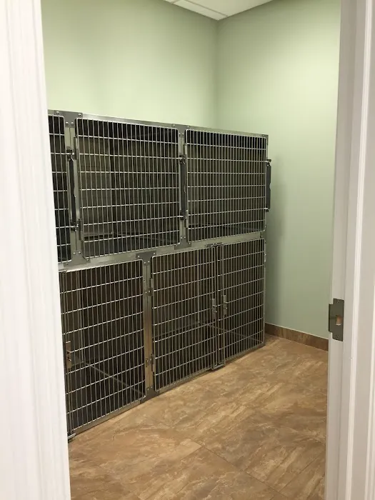 Animal Hospital of Hasbrouck Heights Picture 7