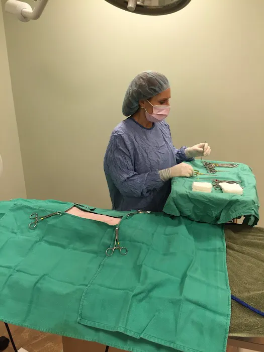 Animal Hospital of Hasbrouck Heights Picture 10