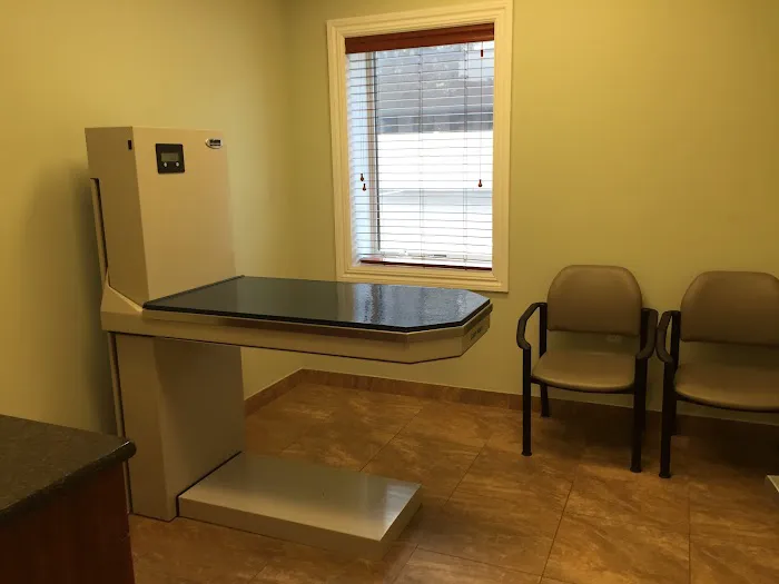 Animal Hospital of Hasbrouck Heights Picture 8