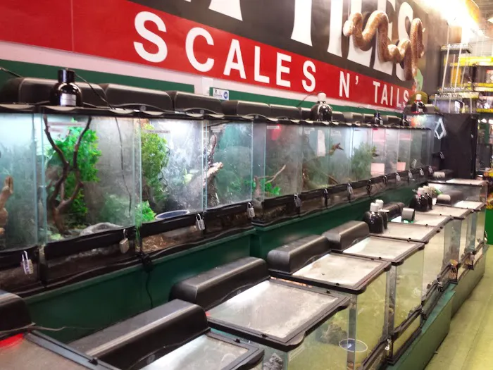 Scales 'N Tails Las Vegas Picture 7