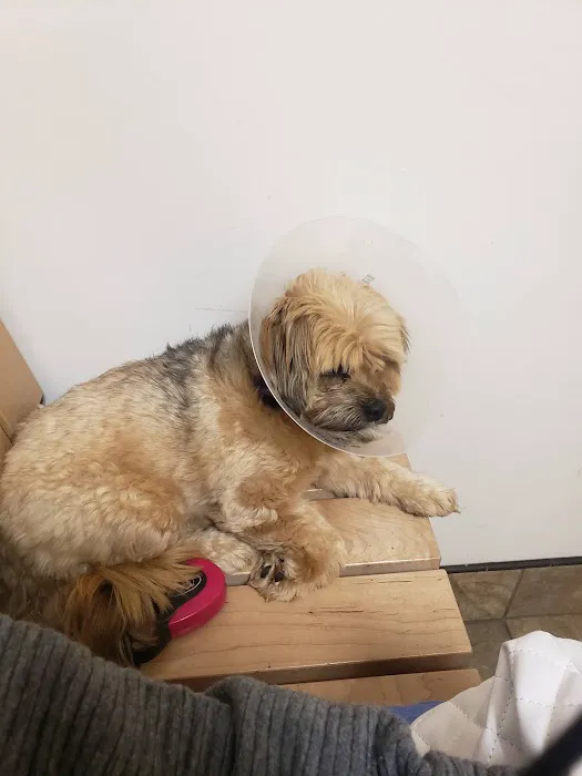 Banfield Pet Hospital Picture 1