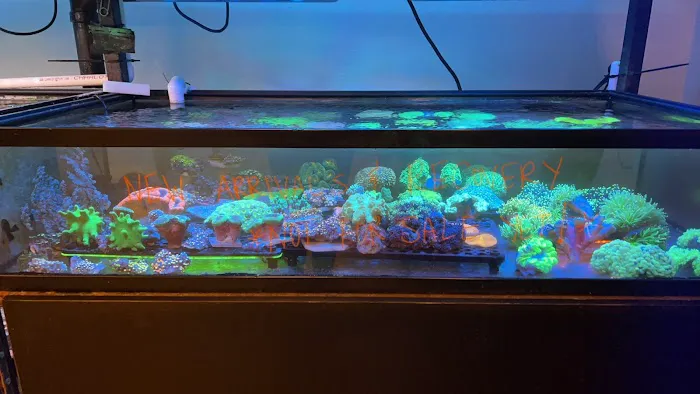 Artistic Oceans Picture 1