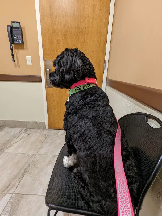 Oradell Veterinary Group of Hasbrouck Heights Picture 3