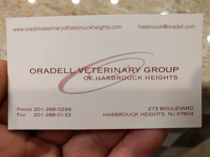 Oradell Veterinary Group of Hasbrouck Heights Picture 8